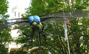Dragonfly at the Handmade Parade