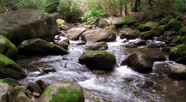 Saluda, NC